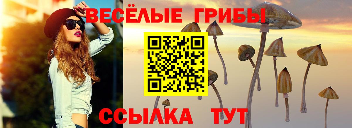 Псилоцибиновые грибы GOLDEN TEACHER  Вход с VPN  Тюмень  Псилоцибиновые грибы прущие грибы 